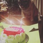 Ragini Nandwani Instagram - Happy birthday my babieee