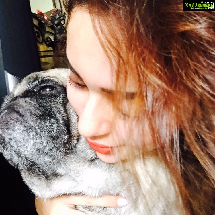 Ragini Nandwani Instagram - Some angel chose fur instead of wings .... True soul with selfless love .... Love u Miku ...