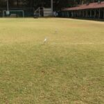 Rahul Bose Instagram – Over the past couple of years I’ve had some pretty unique workout companions on this ground – twitching cats, lazy dogs, curious crows – but this is a first. I mean ‘duck walking’ is very good for the core and quads, but this… #personalaviantrainers #howtolookfly
