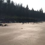 Rahul Bose Instagram - It’s ridiculously amazing how clean (and deserted) Awas beach is. Admittedly this is at 10am on a weekday, but still. I’d go as far as saying this is one of the nicest beaches I’ve ever been to. I don’t vouch for the water because I didn’t swim in it, but as a beach? Brilliant. What followed was a leisurely three hour workout in my panoramic idyll. #alibag #mandwa #awas