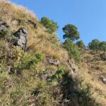 Rahul Bose Instagram – Mountainscape with Bee. #morningsinthemountains