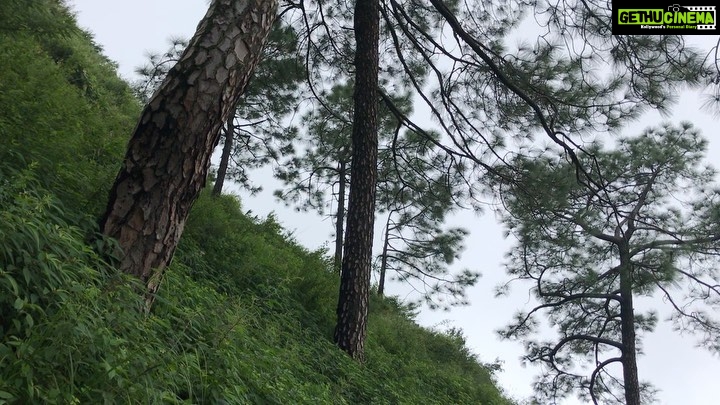 Rahul Bose Instagram - Splendour in the mist. #homeinthehills #trekkingtales