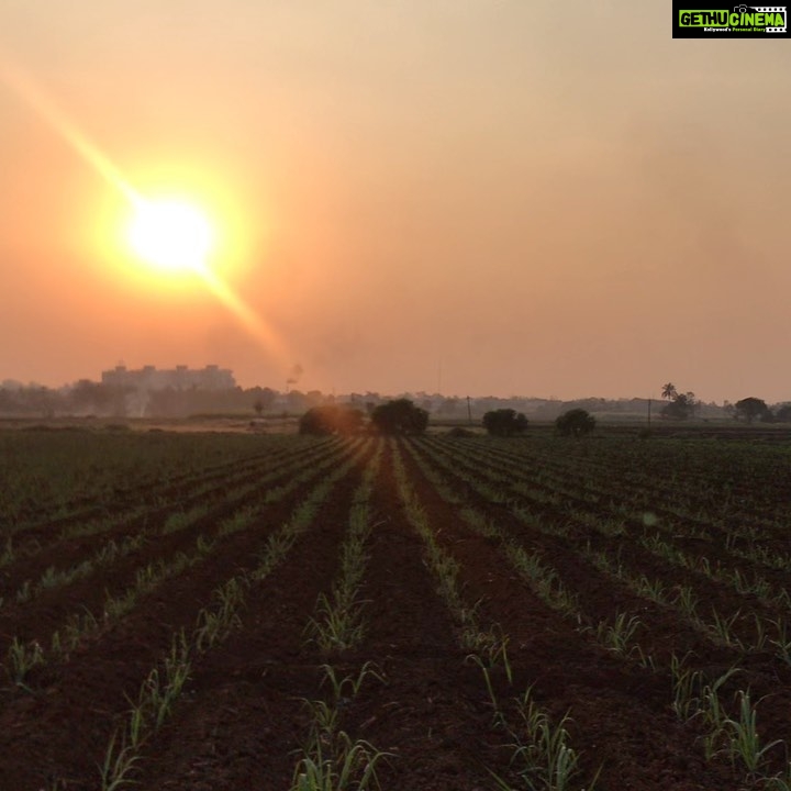 Rahul Bose Instagram - For the last two decades a walk through the (this time, newly harvested) sugarcane fields in Kolhapur at sunset constantly makes it to my #toptenmomentsoftheyear . Yesterday it was no different. In the distance, aunt, uncle and cousins. #mymarathaside #fieldsofdreams #sunsetandcane #kolhapur #childhoodmemories
