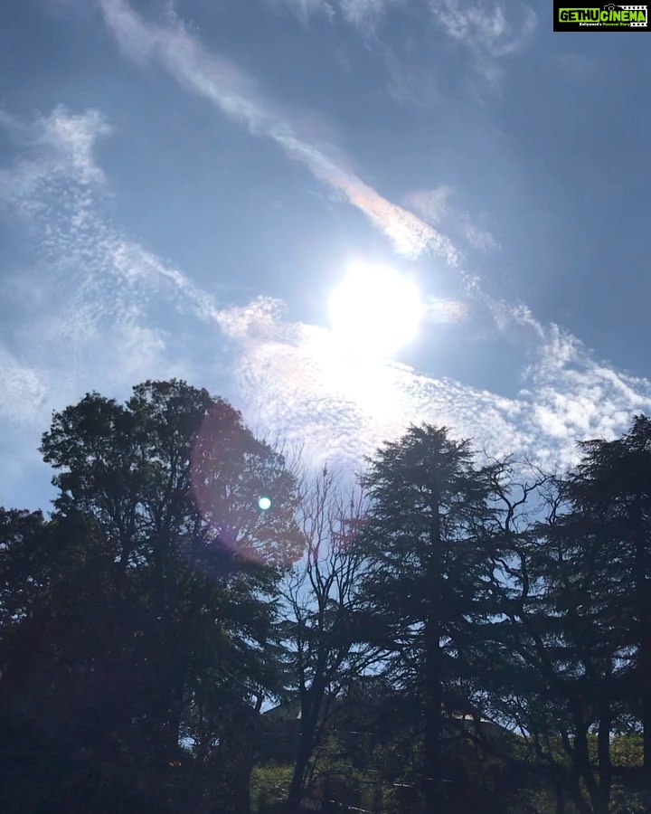 Rahul Bose Instagram - Winter is an impossibly beautiful time in the mountains. Which is why it can only be an act of masochism for me to choose to be here. 🙄 #himalayanblunder #courtingdisaster #suckerforhumiliation