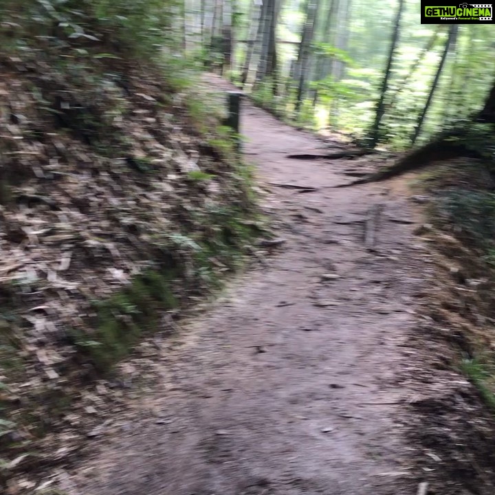 Rahul Bose Instagram - What do you do in Japan when you have a week between the @rugbyworldcup #semifinals and the #finals ? Simple. You go to #Kyoto and hike up #MtInari through a bamboo forest. #JapanJournal #nothinglikeit