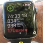 Rahul Bose Instagram – And so the #AmericaYatra that took in #NewYork #LosAngeles and #StPaulMinneapolis ends as it began – on a beautiful, sunny day in #Manhattan Did12.5K on the upper east side that included the entire perimeter of #CentralPark Now my running shoes are #pointinghome #gharchalo