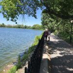 Rahul Bose Instagram - And so the #AmericaYatra that took in #NewYork #LosAngeles and #StPaulMinneapolis ends as it began - on a beautiful, sunny day in #Manhattan Did12.5K on the upper east side that included the entire perimeter of #CentralPark Now my running shoes are #pointinghome #gharchalo