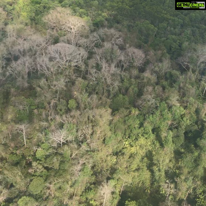 Rahul Bose Instagram - Chopper ride Port Blair- Mayabunder- Port Blair. (1. Take off. 2. Over primeval forest and ocean. 3. Landing. 4. Thank you Nirmal Rai and fellow pilot, for getting me there and back in one piece.) #Mayabunder is way up in the #MiddleAndamans Breathtaking journey. Brilliant skies, glittering seas, jeweldrop islands. #adventureofitsown #littlebirdinthesky #toheavenandback