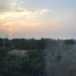 Rahul Bose Instagram – Hello, old friend. #Goa #35yearsandcounting View from @VivantaPanaji1 @iffigoa #TajVivantaPanaji