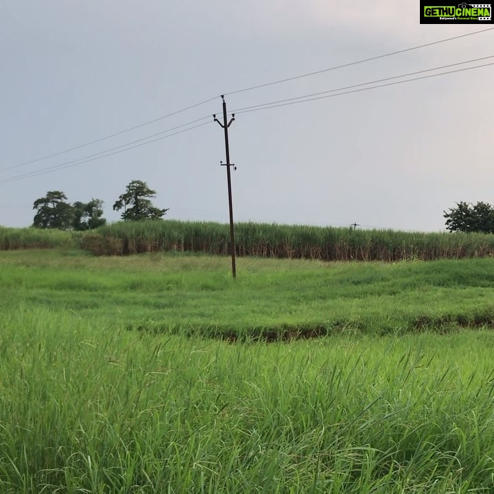 Rahul Bose Instagram - Favourite walk of all time, with my uncle Dr Thorat. He was narrating my grandfather’s (Gen Thorat) strategy in the Battle of Kangaw in #WWII two years before Independence, when we stopped and saw, somewhat ironically, the Indian tricolour flying serenely far away beyond the sugarcane fields between two beautiful trees in the magical evening light. #Kolhapur #walkingthroughsugarcanefields #magichour #11Km