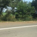 Rahul Bose Instagram - Sun, blue skies, sugarcane, farmers on bikes. #childhoodmemories Enroute to Kolhapur. #ancestralhome #Diwaliretreat #youareonlyashipasyourhome