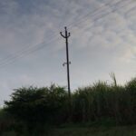 Rahul Bose Instagram – If it’s Ganpati festival time it has to be #Kolhapur , my mother’s ancestral home. And if it’s Kolhapur there have to be long walks through #sugarcanefields with my uncle, Dr Thorat. This one was had in beautiful evening light fading into dusk. #magic #backtobachpan #memories #nostagiafuelsthefuture
