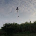 Rahul Bose Instagram - If it’s Ganpati festival time it has to be #Kolhapur , my mother’s ancestral home. And if it’s Kolhapur there have to be long walks through #sugarcanefields with my uncle, Dr Thorat. This one was had in beautiful evening light fading into dusk. #magic #backtobachpan #memories #nostagiafuelsthefuture