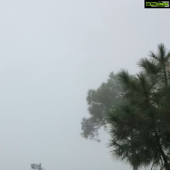Rahul Bose Instagram - Rode in on the mist, riding out on the mist. #youmistthemountains #himalayanfarewell #fogthat #seeyounextmonth