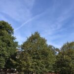 Rahul Bose Instagram - 18 years ago, after spending a year in #London I realised some days when the English weather is the perfect mix of warmth and clarity, seize it with all your might. Long training session on a beautiful morning yesterday at #ClaphamCommon #perfect welcome #Londonfortheweekend #nostalgia