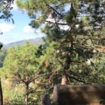 Rahul Bose Instagram - It always breaks my heart to leave the mountains but today’s brilliant, crystal clear weather is making it particularly difficult. #alldownhillfromhere #therewillbeanexttime #sun #light #aftertherains #himalayas