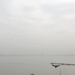 Rahul Bose Instagram - On a milky morning the knobby needle of a pier that divides a sleeping sea tries its best to shake off a crow hanging on for life.