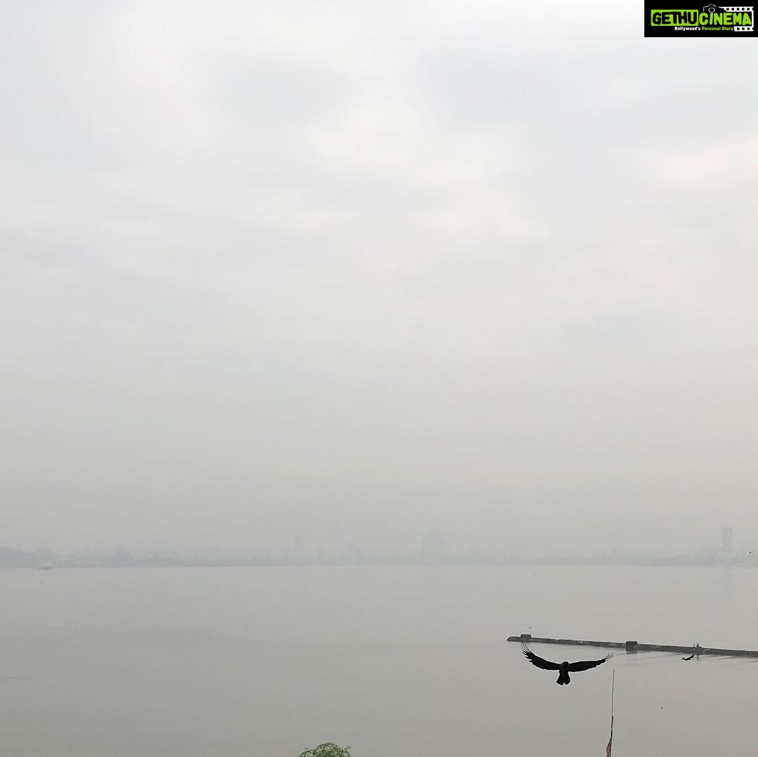 Rahul Bose Instagram - On a milky morning the knobby needle of a pier that divides a sleeping sea tries its best to shake off a crow hanging on for life.