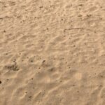 Rahul Bose Instagram - The upside of fine Rajasthani cuisine? Infinite pleasure. The downside of fine Rajasthani cuisine? Infinite pain. A desperate run through the dunes to knock off the weight. Oh @manvardesertcampresort The things you make a man do. #dunerunning #dignitylost #nokiloslost #ontothenextmeal