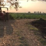 Rahul Bose Instagram – Walking through my childhood with one of my favourite people in the world, my uncle, Dr Yashwant Thorat. #kolhapur #sugarcanefields #walkingwithlovedones #nostalgia #inthefootstepsofchildhood