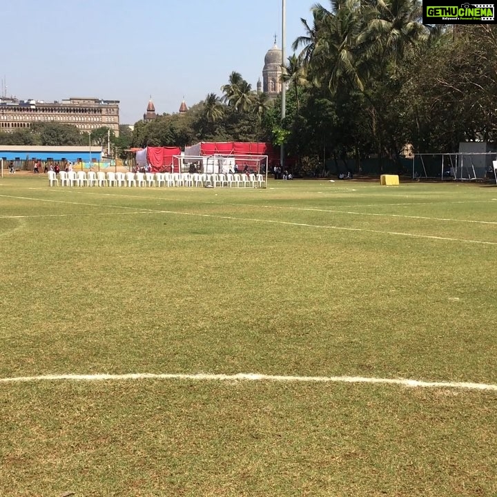 Rahul Bose Instagram - Recorded this two days ago. Thought it’s only fair to let you know how my favourite workout companion has maintained his high level of intensity. (Check the ear wiggle for timing) For consistency and commitment, he stands alone. #badshahtales #friendswhoworkouttogetherstaytogether #breathingisthenewcardio