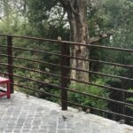 Rahul Bose Instagram - More sparrows in one frame than I've seen in 10 years in Bombay. #mountainmagic #birdsofafeather #aquarrelofsparrows