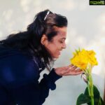 Ramya Pandian Instagram - #beautiful #yellow #flowers 💛💛💛