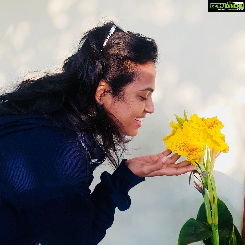 Ramya Pandian Instagram - #beautiful #yellow #flowers 💛💛💛
