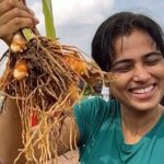 Ramya Pandian Instagram - In the spirit of pongal, let's thank our mother nature for a bountiful harvest. On this auspicious day, I'm happy to share with immense joy, the turmeric harvest from my terrace garden. Happy Pongal insta fam! #ramyapandian #mykindofpongal