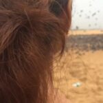 Ramya Pandian Instagram – Thandhanathandanathandana time with pigeons 🖤

Perfect weather, pigeons, little rain,beach sound and set of good people around ❤ what a lovely morning 🗯💭 #beach #friends #nature #morningvibes

Video courtesy : @parasu_pandian
@emliyakat

#ramyapandian