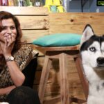 Ramya Pandian Instagram – Apart from @indiaglitz_tamil interview i had great fun with these chamathu cuties #whisky and #madras 😍😘❤ Costumes @label_ts_official 
Accesories @original_narayanapearls 
#throwback
#doggies #doglovers 
#ramyapandian ATTE – Glocal Cafe