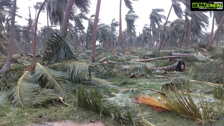 Ramya Pandian Instagram - Delta regions are destroyed by #gajacyclone...people worship nature and those trees were the source of income for many people there:( I personally know people who celebrate coconut’s first flower as much as girls puberty function .. saddened to see the scenario .. Electricity will be fixed in days,houses can be fixed in months but don’t know how many years will take to get these many trees back? #savedelta