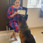 Ramya Subramanian Instagram - Sharing our triangular love story this V-Day with you . I ♥️ Hero. Hero ♥️ Food. #PupcakesForMyValentine