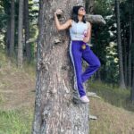 Regina Cassandra Instagram – Won an award and climbed a tree 
Thank you @she_awards @she_india 
@its.manikandan 
☺️
#mostdesirablewomaninkollywood2021