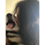 Regina Cassandra Instagram - 😛 smothered him with alllll my love when he came in for a quick visit. 🥰 ok back to quarantine life now. 😇