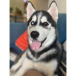 Regina Cassandra Instagram - 😛 smothered him with alllll my love when he came in for a quick visit. 🥰 ok back to quarantine life now. 😇