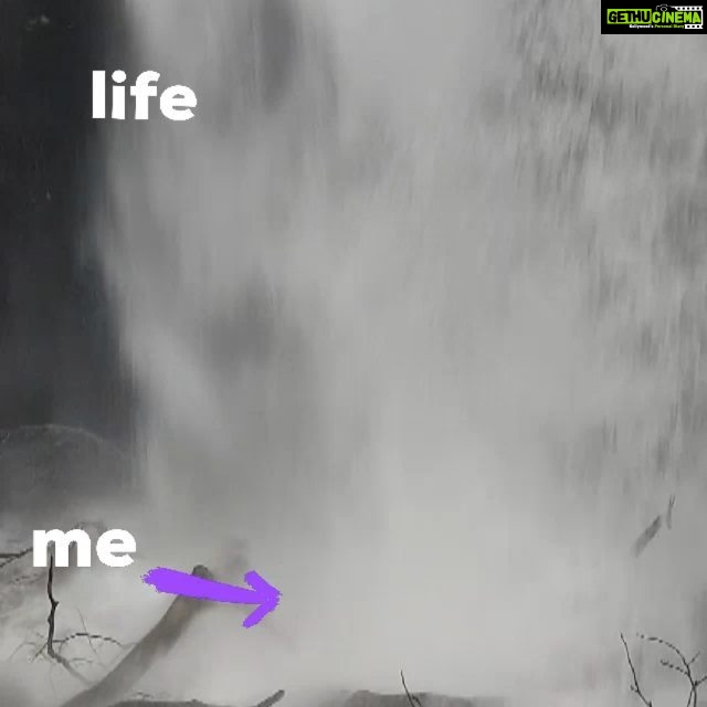 Regina Cassandra Instagram - #life #whatdoyoumeme
