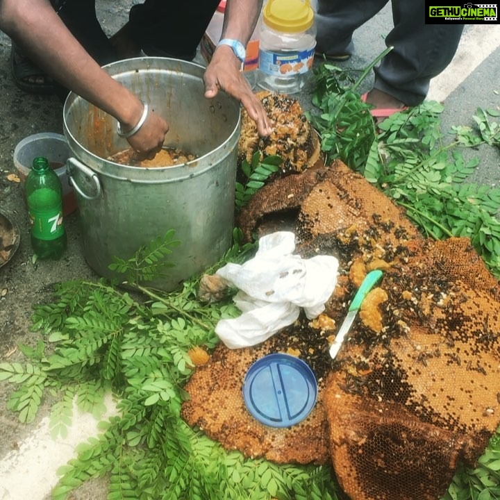 Regina Cassandra Instagram - Care for some honey anybody?! ๐๐Bang on the main road near my place, a couple of men broke down a few beehives and started selling honey! #justlikethat #yummyluscious #yummyinmytummy #freshhoney. each mornin seems to be getting more interesting I must say..
