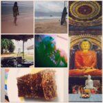 Regina Cassandra Instagram - #theweekasitwas #foodtravelrelaxxxx #watelappam #buddha #surfschool #coralpicking #creamsoda travelling is like meditation for me. 😊 so much to learn.