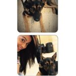 Regina Cassandra Instagram - Shooting at grand central and met the most adorable German shepherd pup ever! #Johnny #K9mullen #policedog #adorablelilthing #nyc #watchingovergrandcentral #doglove Grand Central Terminal