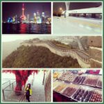 Regina Cassandra Instagram - #chingchongchinatown #exploringasia #shanghaiatnight #thesuperfasttrain #thegreatwallofchina #dinnertime China had soooo much to offer right from the colourful buildings, the super fast train or the creepy crallies they consider a delicacy.