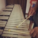Remya Nambeesan Instagram - We rarely get to listen to such soothing music 🎶 #vibraphone @unnimayasmenon , #genuineartist#blissfullsoundofmusic😍