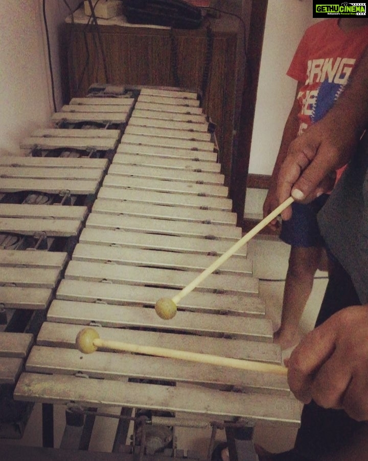 Remya Nambeesan Instagram - We rarely get to listen to such soothing music 🎶 #vibraphone @unnimayasmenon , #genuineartist#blissfullsoundofmusic😍