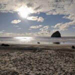 Richa Gangopadhyay Instagram – There’s something so majestic yet soothing about Haystack Rock. 🐚 
The Oregon coast never gets old 🌊. Our happy place. 💙

#Haystackrock #pacificcity #Oregoncoast #nofilterneeded Pacific City, Oregon