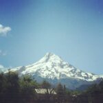 Richa Gangopadhyay Instagram - BRB, just grabbing some fresh-cut lavender at the end of the Oregon Trail, at the foot of Mt. Hood. For me, there is no better escape from urban life than taking a quick drive to these breathtaking, fragrant lavender fields in Hood River. I love the zany little gift shop which has so many cool, locally-sourced lavender essential oils, soaps and other handcrafted items. ⁣🧖🌿⁣ ⁣⁣ ⁣⁣ I truly wonder why more Indian film song shoots aren't shot in places like this in Oregon! Well, you know where to find me ;) #justsayin ⁣🗻🎥⁣ ⁣⁣ ⁣⁣ *These and other lavender fields are currently closed due to covid-19 but are planning to tentatively re-open in June*⁣⁣ ⁣⁣ ⁣⁣ #lavender #lavenderfields #MtHood #HoodRiver #Supportlocal #covid #sanity #exploreOregon Lavender Valley Farms