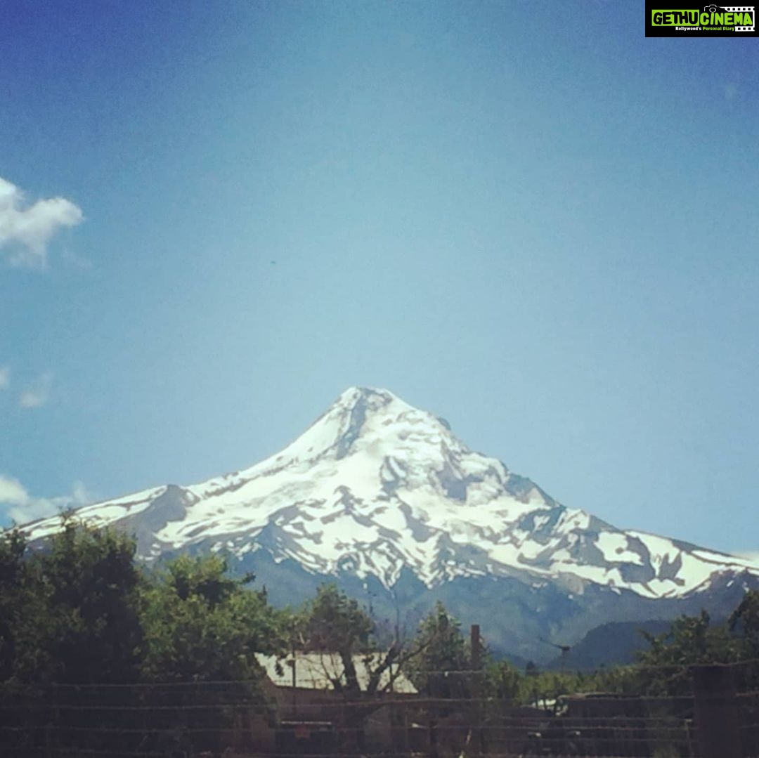 Richa Gangopadhyay Instagram - BRB, just grabbing some fresh-cut lavender at the end of the Oregon Trail, at the foot of Mt. Hood. For me, there is no better escape from urban life than taking a quick drive to these breathtaking, fragrant lavender fields in Hood River. I love the zany little gift shop which has so many cool, locally-sourced lavender essential oils, soaps and other handcrafted items. 🧖🌿 I truly wonder why more Indian film song shoots aren't shot in places like this in Oregon! Well, you know where to find me ;) #justsayin 🗻🎥 *These and other lavender fields are currently closed due to covid-19 but are planning to tentatively re-open in June* #lavender #lavenderfields #MtHood #HoodRiver #Supportlocal #covid #sanity #exploreOregon Lavender Valley Farms