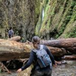 Richa Gangopadhyay Instagram - Being cooped up for weeks definitely makes me want to be outdoors even more! The things we take for granted when they are taken away from us! ⁣ ⁣ A few years ago, I got to experience the ethereal beauty of the Oregon outdoors on my very first visit. Needless to say, it was worth the hype. ⁣ ⁣ The best thing about this place? The perfect balance of nature and urban life. A short 2-hour drive from Portland, you find yourself in dense evergreen forests, thousands of waterfalls, the gorgeous Columbia River Gorge, snowcapped volcanoes, acres of vineyards and oh, the Pacific Ocean and its beautiful, white sand beaches. It's no wonder we don't ever want to leave. A top travel destination for most, we are lucky to call it home.🌲🏔️🌊🏞️💕⁣ ⁣ ⁣ Soon enough, we'll all be back outside enjoying life! But for now....#stayhomestaysafe ⁣ ⁣ ⁣ Photo credit: husband 📷⁣ #nofilter #oregon #oregonoutdoors #nature #pacificnorthwest #winecountry #oregonian #quarantine