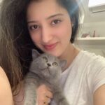 Richa Panai Instagram - Meet Grazie.. my cutest valentine!!🐈‍⬛ Happy Valentine’s Day to all you lovely people!!❤️❤️❤️ #happyvalentinesday #kittensofinstagram #exoticshorthair