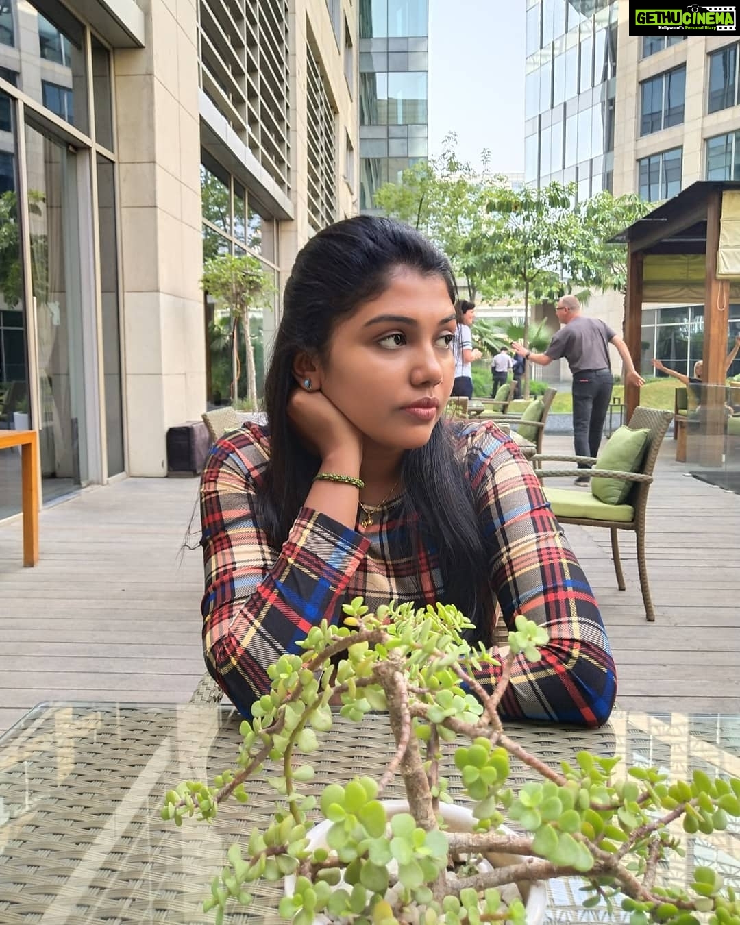 Riythvika Instagram - The sweetest revenge is self growth ❤️ #goodeveningworld Delhi, India
