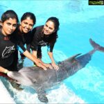 Riythvika Instagram – #dolphinswimming #dolphinpose #dolphins🐬 #dolpinkisses #dolpinlover #spinnerdolphins #dolphinshorts #goodvibes #dolphinfish #singapore #sentosaisland @vishwakavish @janakislvm #shira #nameofthedolphiniswamwith shira